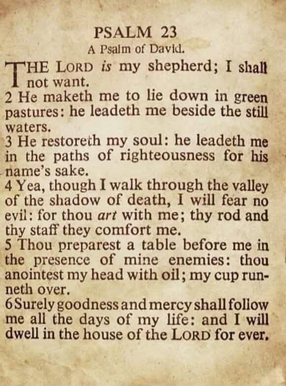 PSALM 23
A Psalm of David.
THE LORD is my shepherd; I shall not want.
2 He maketh me to lie down in green pastures: he leadeth me beside the still waters.
3 He restoreth my soul: he leadeth me in the paths of righteousness for his name's sake.
4 Yea, though I walk through the valley of the shadow of death, I will fear no evil: for thou art with me;