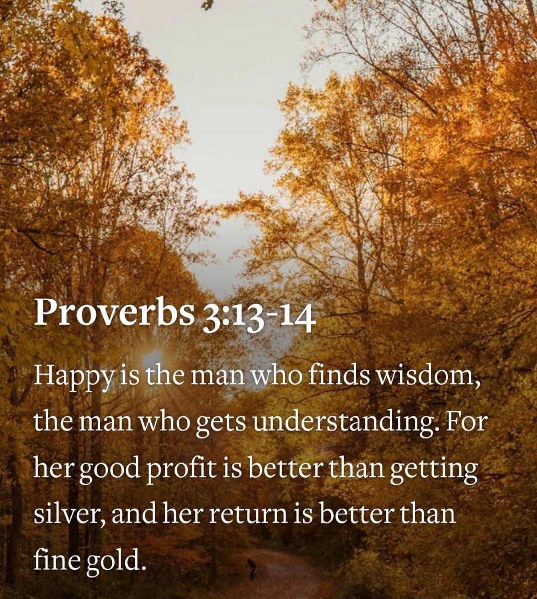 Proverbs 3:13-14 Happy is the man who finds wisdom, the man who gets understanding. For her good profit is better than getting silver, and her return is better than fine gold.