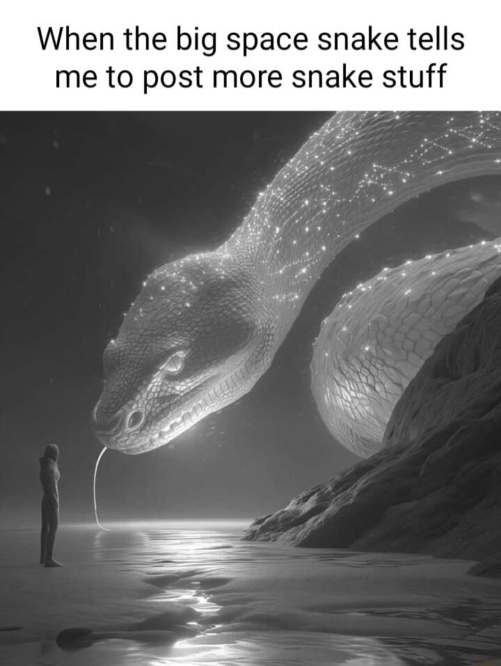 When the big space snake tells me to post more snake stuff