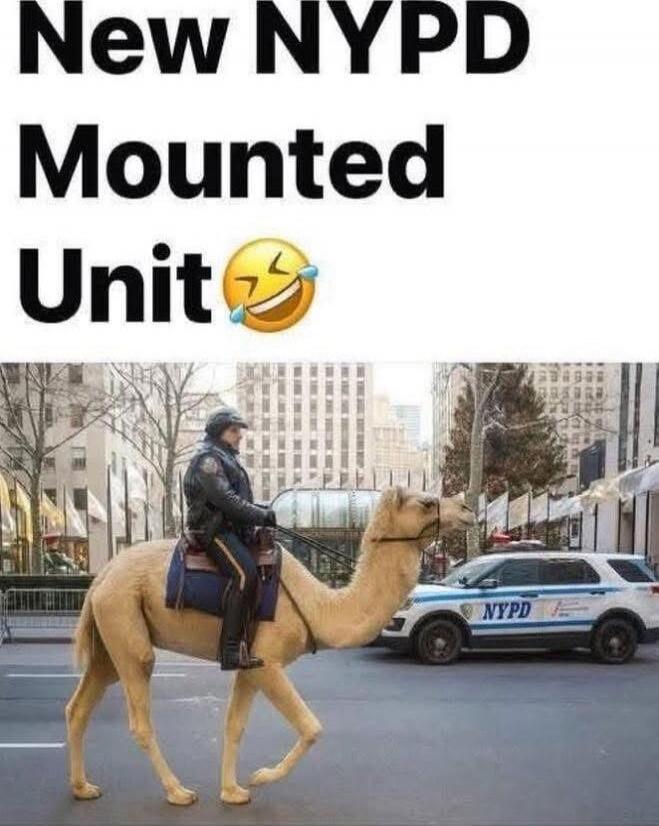 New NYPD Mounted Unit 😂