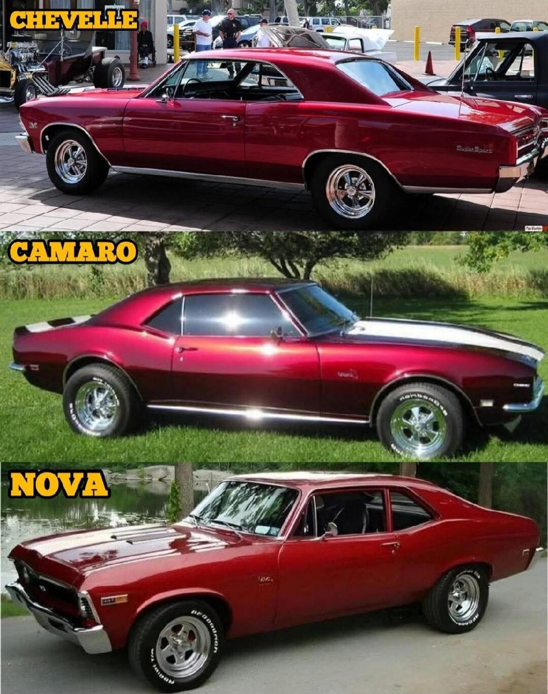 CHEVELLE
CAMARO
NOVA
