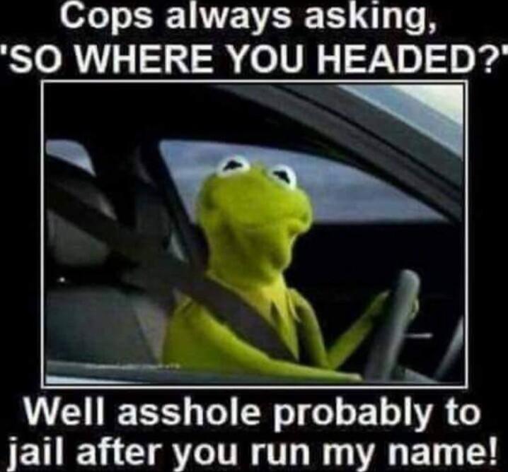 Cops always asking SO WHERE YOU HEADED 1 Well asshole probably to jail after you run my name