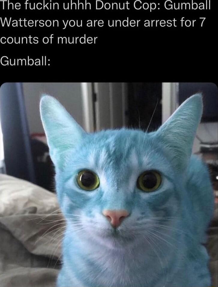 Ihe fuckin unhh Donut Cop Gumball Watterson you are under arrest for 7 counts of murder Gumball