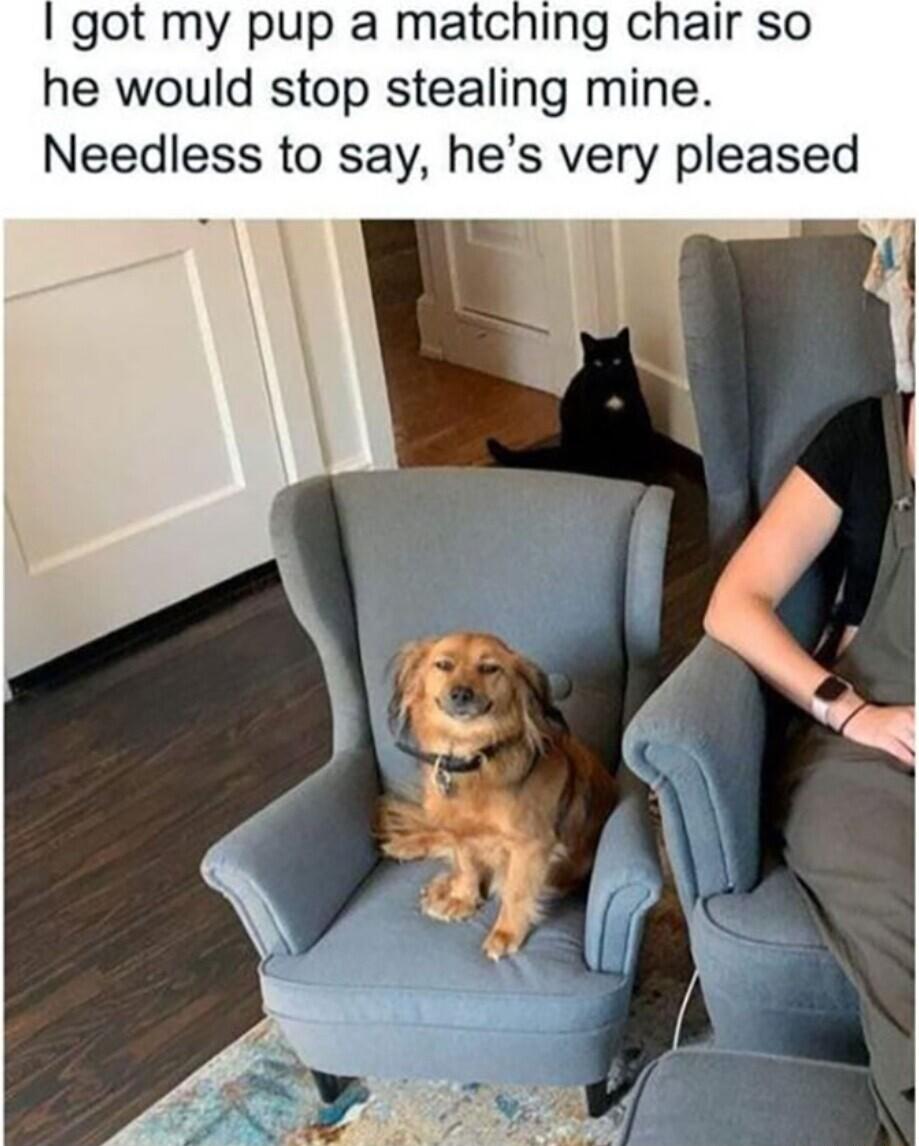 got my pup a matching chair so he would stop stealing mine Needless to say hes very pleased