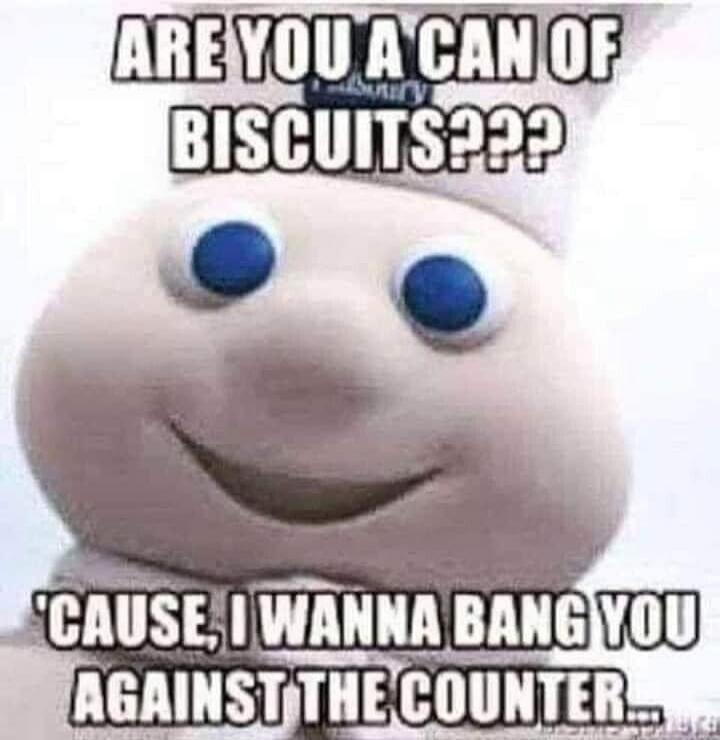 ARE YOU A CAN OF BISCUITS??? 'CAUSE, I WANNA BANG YOU AGAINST THE COUNTER...