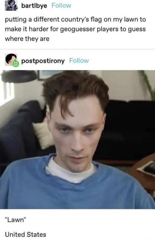 bartlbye putting a different countrys flag on my lawn to make it harder for geoguesser players to guess where they are Q postpostirony Lawn United States