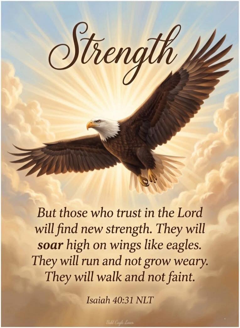 Strength But those who trust in the Lord will find new strength. They will soar high on wings like eagles. They will run and not grow weary. They will walk and not faint. Isaiah 40:31 NLT Bald Eagle Lover