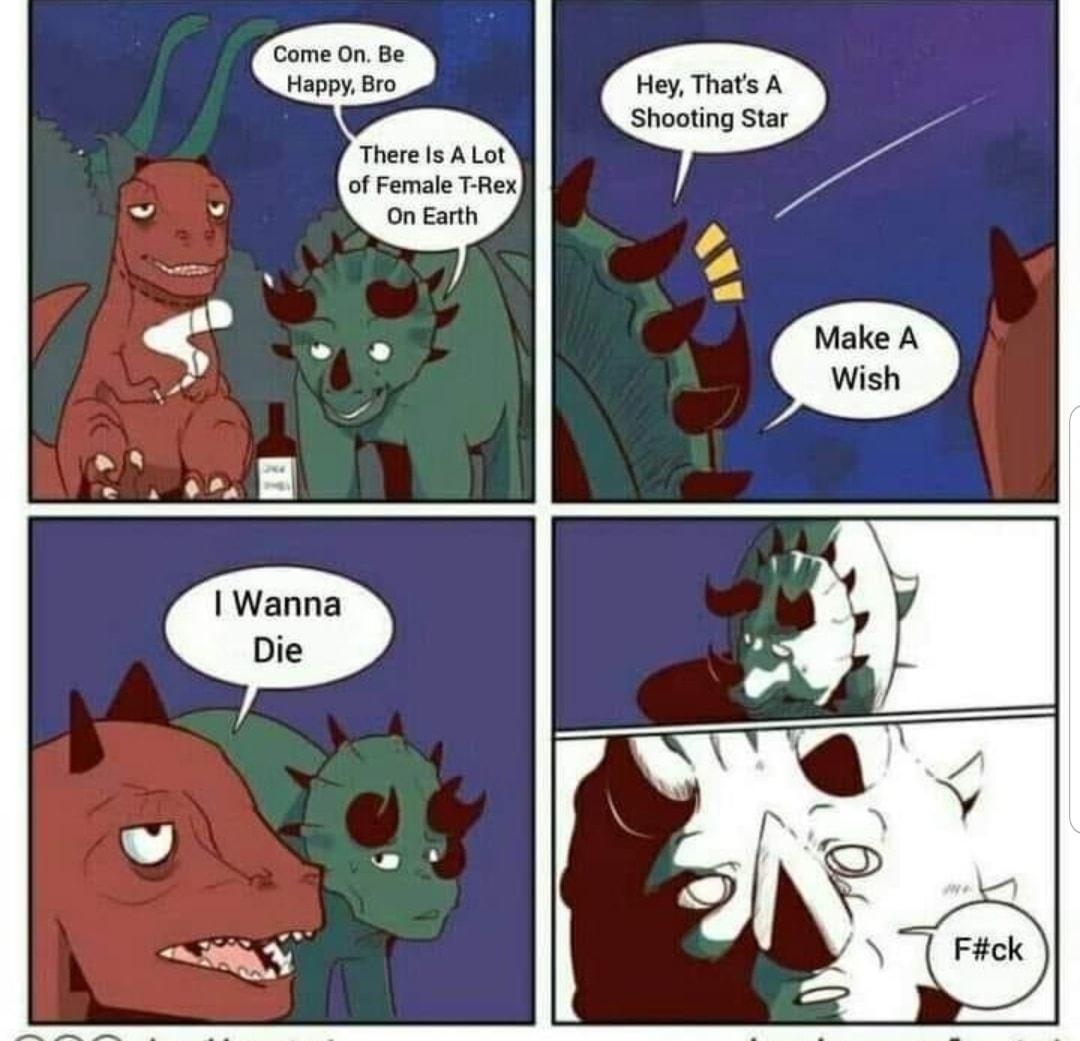 Come On Be Happy Bro Hey Thats A Shooting Star There Is A Lot of Female T Rex Wanna Die