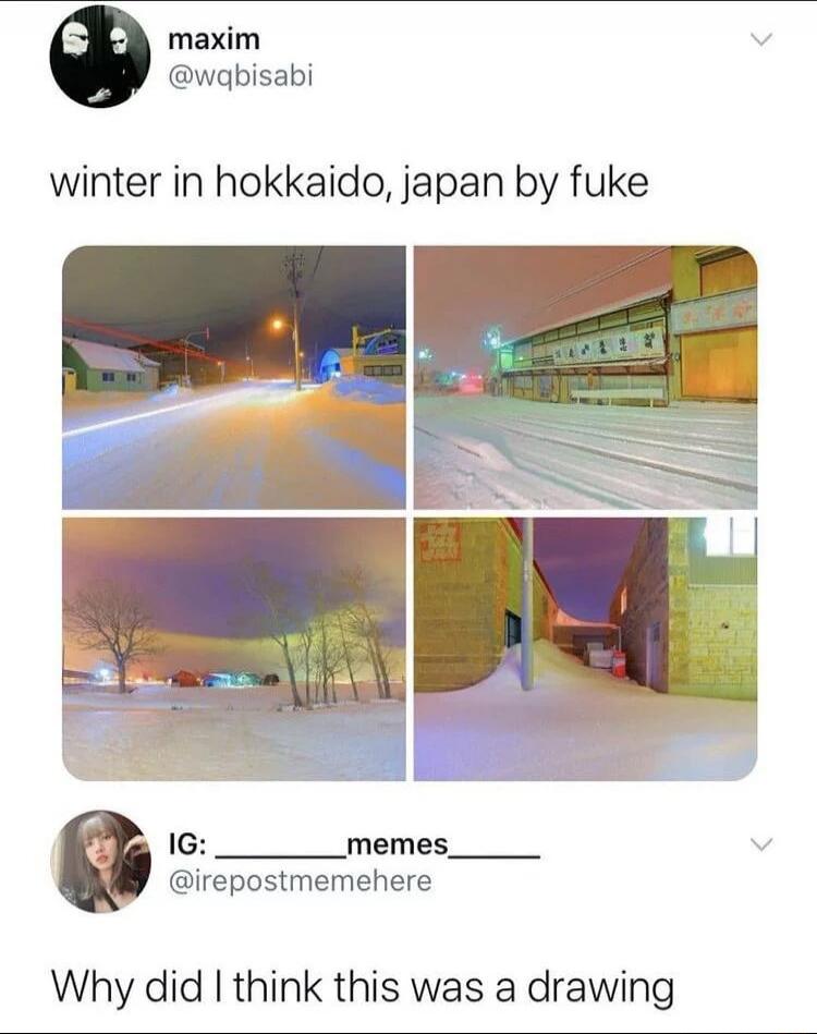 maxim @wqbisabi winter in hokkaido, japan by fuke IG: ______memes______ @irepostmemehere Why did I think this was a drawing