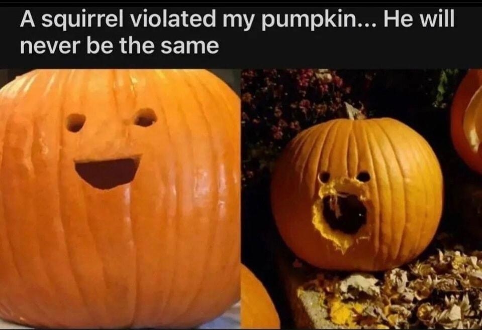 A squirrel violated my pumpkin He will never be the same 400 68 1 share SINGLE COMMENT THREAD VIEW ALL Doagbeidl 22h A squirrel sure Reply 142