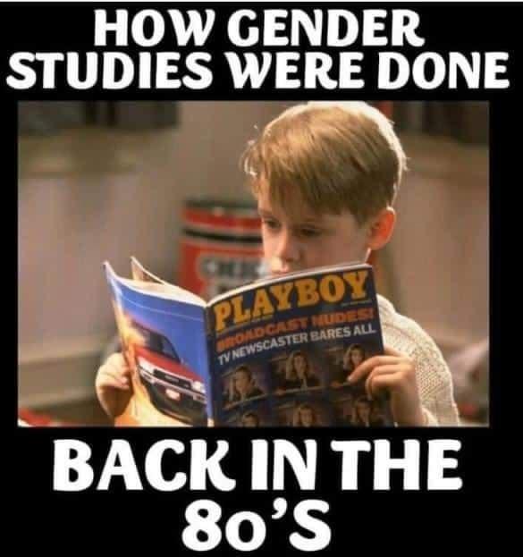 HOW GENDER STUDIES WERE DONE LT LS ALL NS BACK IN THE 80S