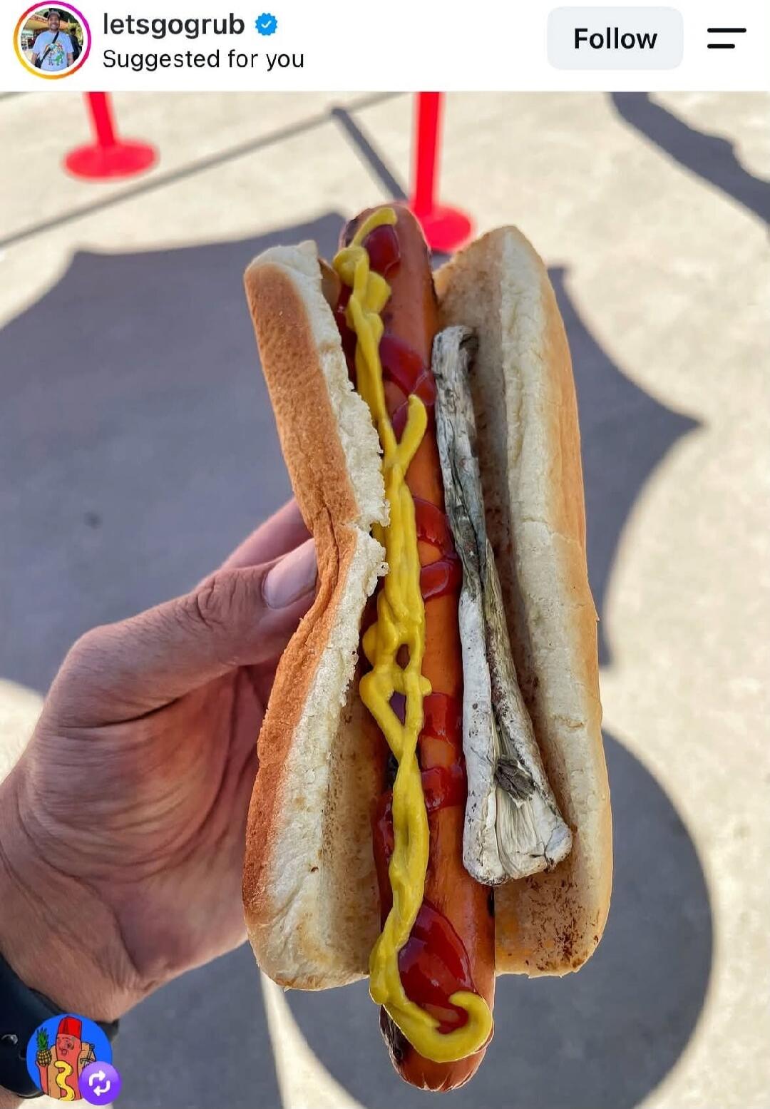 letsgogrub Suggested for you Follow