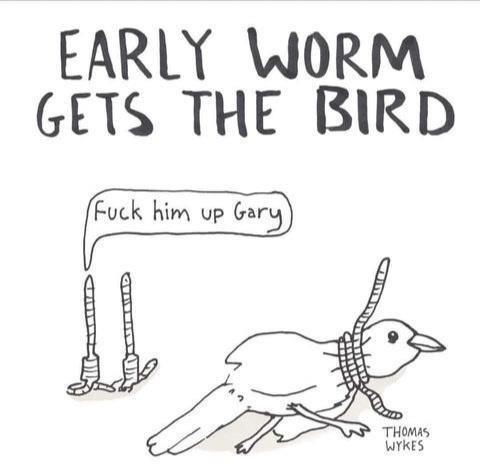 EARLY WORM GETS THE BIRD