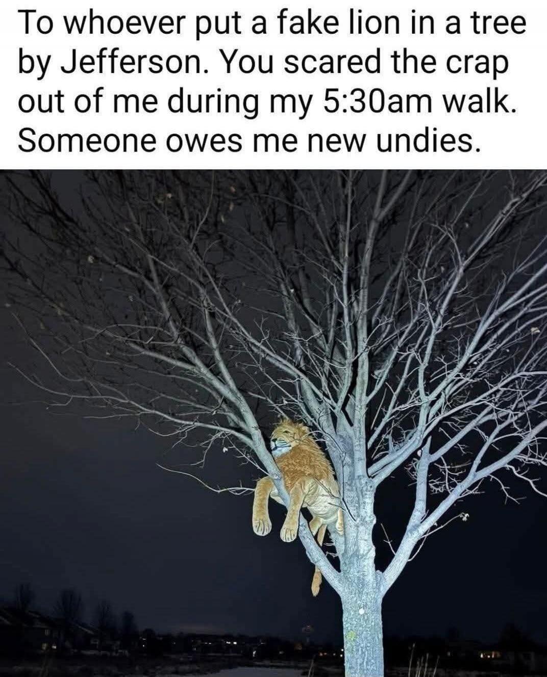 To whoever put a fake lion in a tree by Jefferson. You scared the crap out of me during my 5:30am walk. Someone owes me new undies.