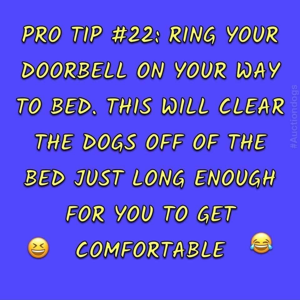 PRO TIIP 22 RING YOUR DOORBELL ON YOUR WAY 70 BED THIS WILL CUEAR THE DOGS OFF OF THE S e FOR YOUTI0 GETY COMFORTABLE