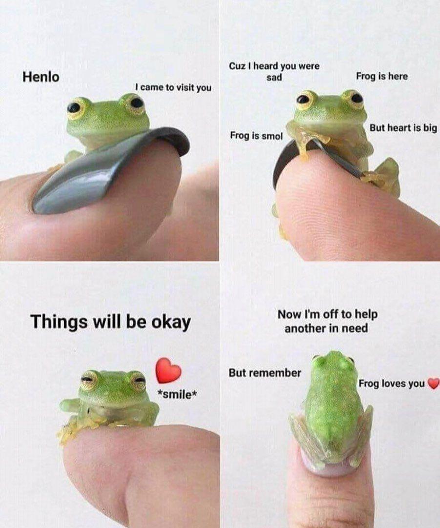 Cuz heard you were Henlo sad Frog is here came to visit you But heart is big Things will be okay ow I ot Frog loves you