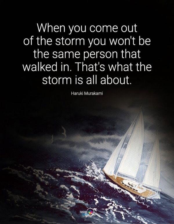 When you come out of the storm you won't be the same person that walked in. That's what the storm is all about. Haruki Murakami