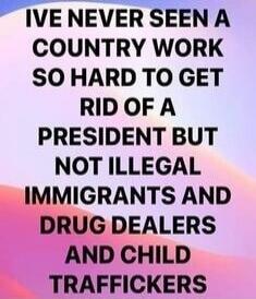 IVE NEVER SEEN A COUNTRY WORK SO HARD TO GET RID OF A PRESIDENT BUT NOT ILLEGAL IMMIGRANTS AND DRUG DEALERS AND CHILD TRAFFICKERS