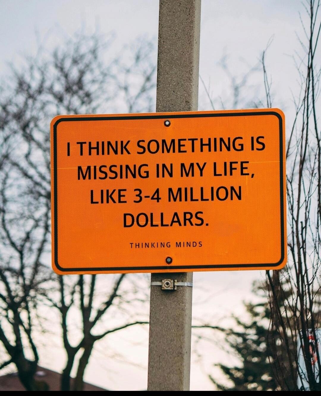 I THINK SOMETHING IS MISSING IN MY LIFE, LIKE 3-4 MILLION DOLLARS.