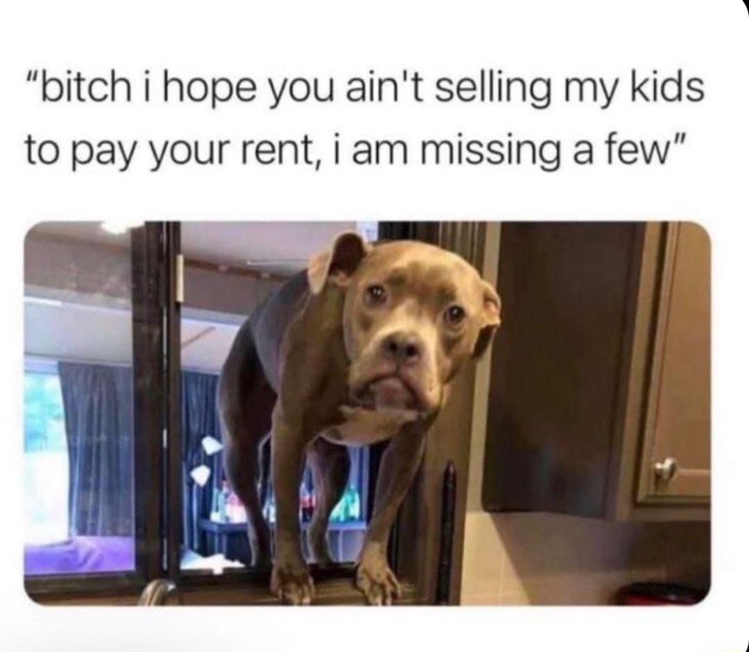 bitch i hope you aint selling my kids to pay your rent i am missing a few