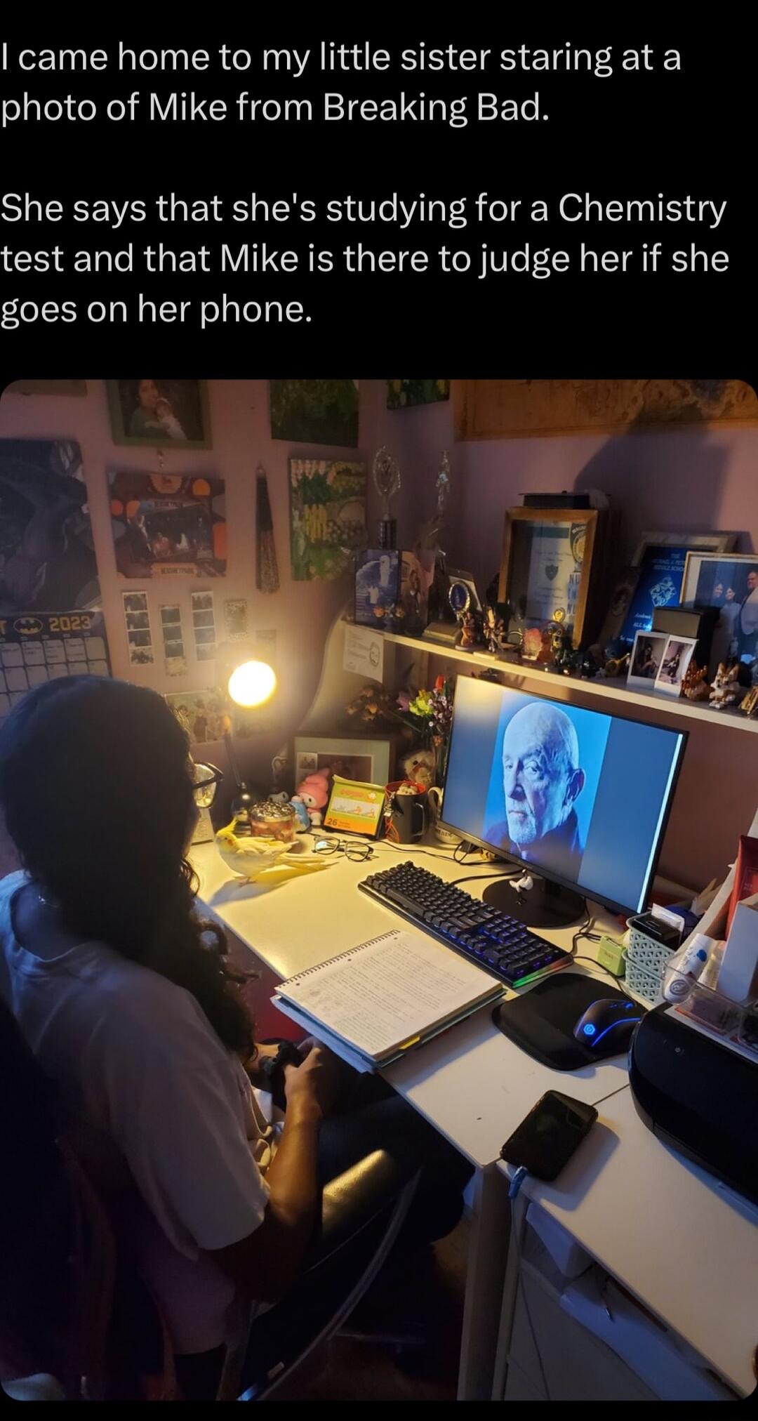 came home to my little sister staring at a photo of Mike from Breaking Bad She says that shes studying for a Chemistry test and that Mike is there to judge her if she goes on her phone