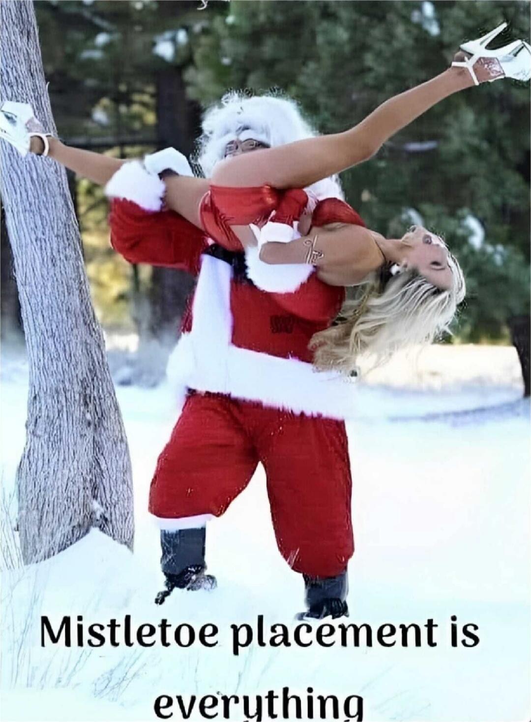 Mistletoe placement is everything