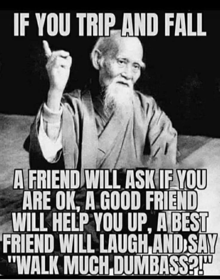 IF YOU TRIP AND FALL A FRIEND WILL ASK IF YOU ARE OK, A GOOD FRIEND WILL HELP YOU UP, A BEST FRIEND WILL LAUGH, AND SAY 
