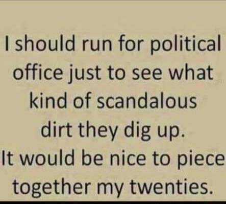 I should run for political office just to see what kind of scandalous dirt they dig up It would be nice to piece together my twenties