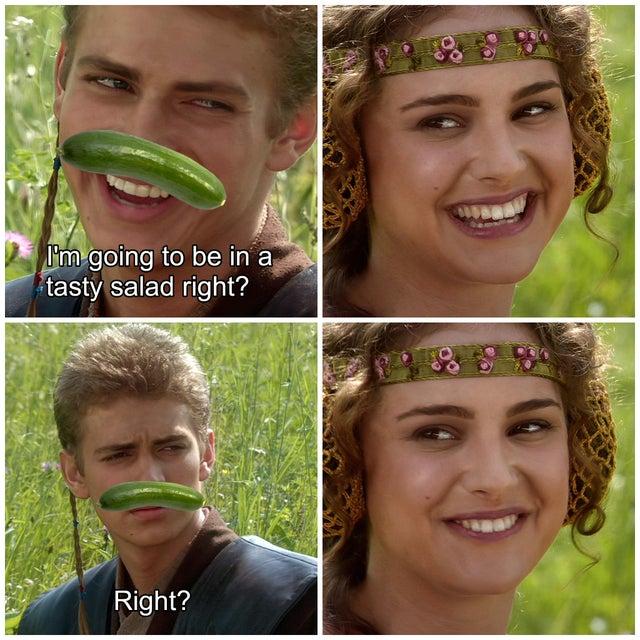 Hd JllTan elofigle RoNol Mgk P tastysalad right