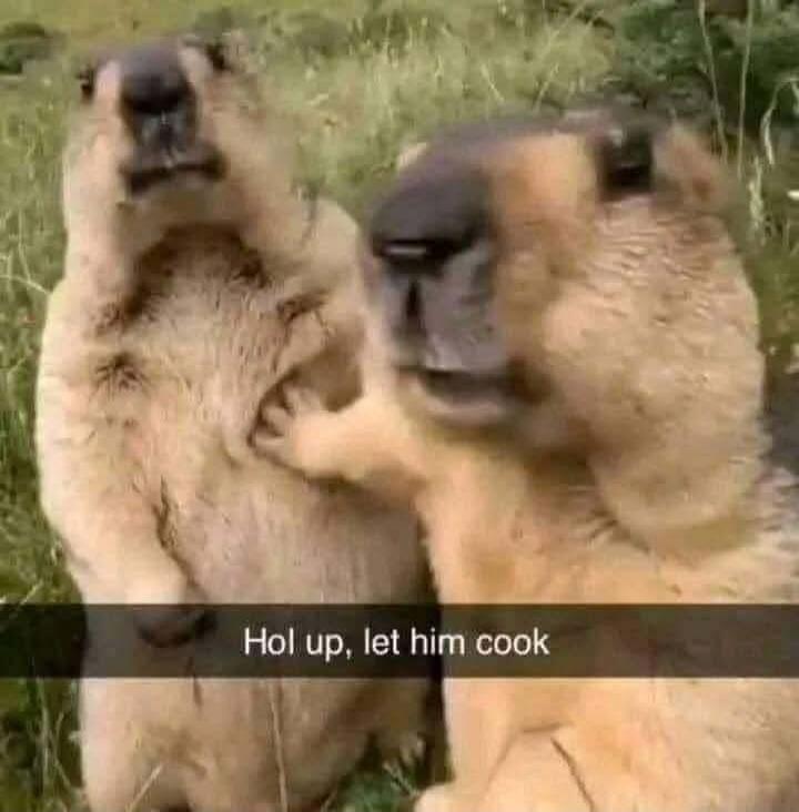 Hol up, let him cook