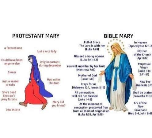 PROTESTANT MARY: a favored one, Could have been anyone else, Sinner, Just a vessel or tube, She's dead, She can't pray for you, Low estate, Just a nice lady, Only important during December, Had other Children, Mary did you know? BIBLE MARY: Full of Grace (Luke 1:28), The Lord is with her (Luke 1:28), Blessed among women (Luke 1:41-42), You will kno