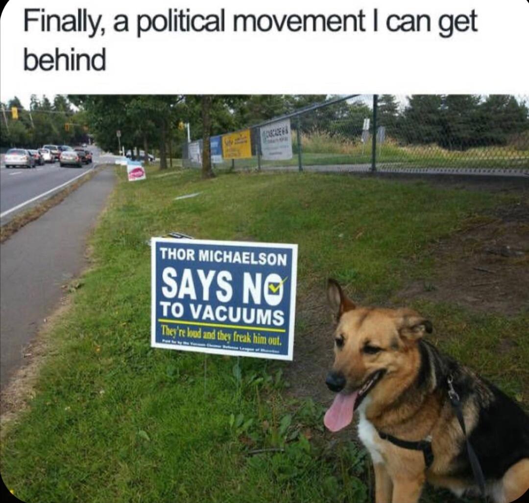 Finally a political movement can get behind