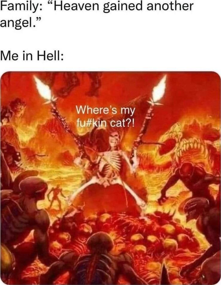 Family Heaven gained anot angel Me in Hell Wheres my y fukin cat