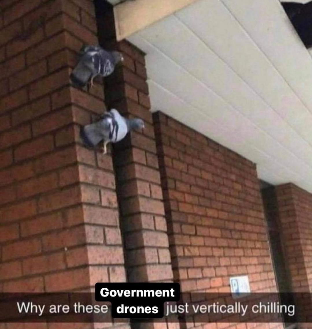 Government Why are these drones just vertically chilling _ Ll 1 LAY 1 l
