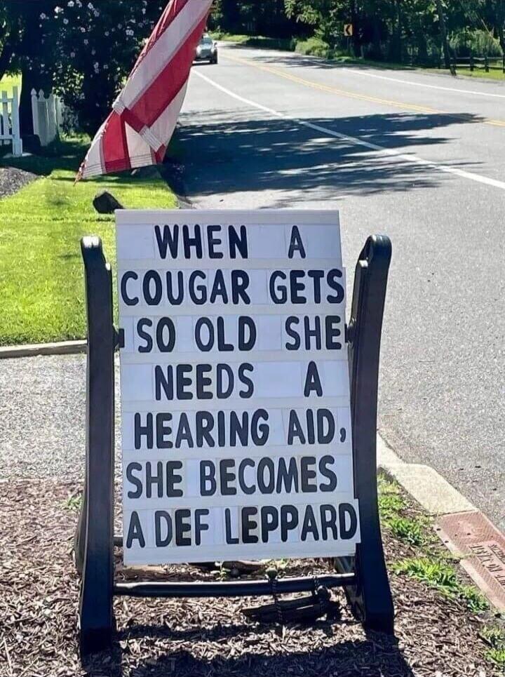 WHEN A COUGAR GETS SO OLD SHE NEEDS A HEARING AID, SHE BECOMES A DEF LEPPARD