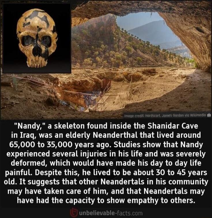 i R e A Nandy a skeleton found inside the Shanidar Cave in Irag was an elderly Neanderthal that lived around 65000 to 35000 years ago Studies show that Nandy experienced several injuries in his life and was severely deformed which would have made his day to day life painful Despite this he lived to be about 30 to 45 years old It suggests that other Neandertals in his community may have taken care 