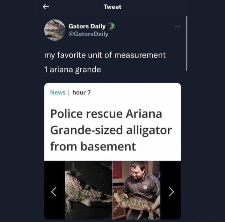 Tweet N Gators Daily Wy GatorsDaily my favorite unit of measurement 1ariana grande hour 7 Police rescue Ariana Grande sized alligator from basement