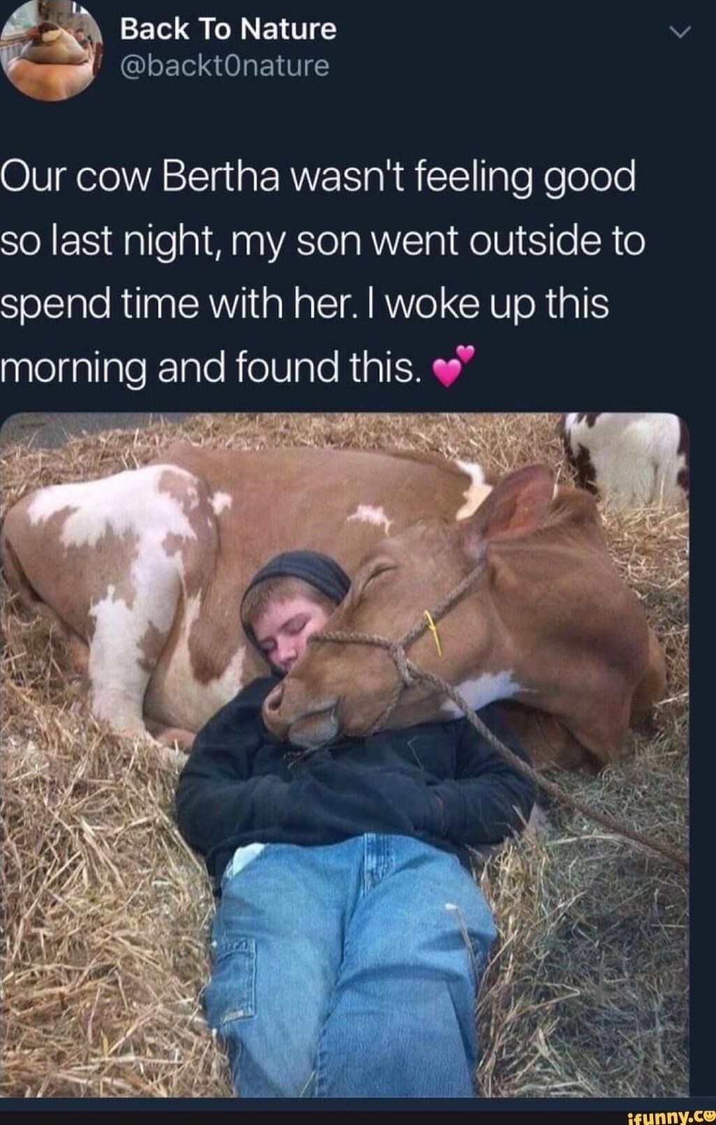 3 Back To Nature LERRNENTE Our cow Bertha wasnt feeling good so last night my son went outside to spend time with her woke up this morning and found this