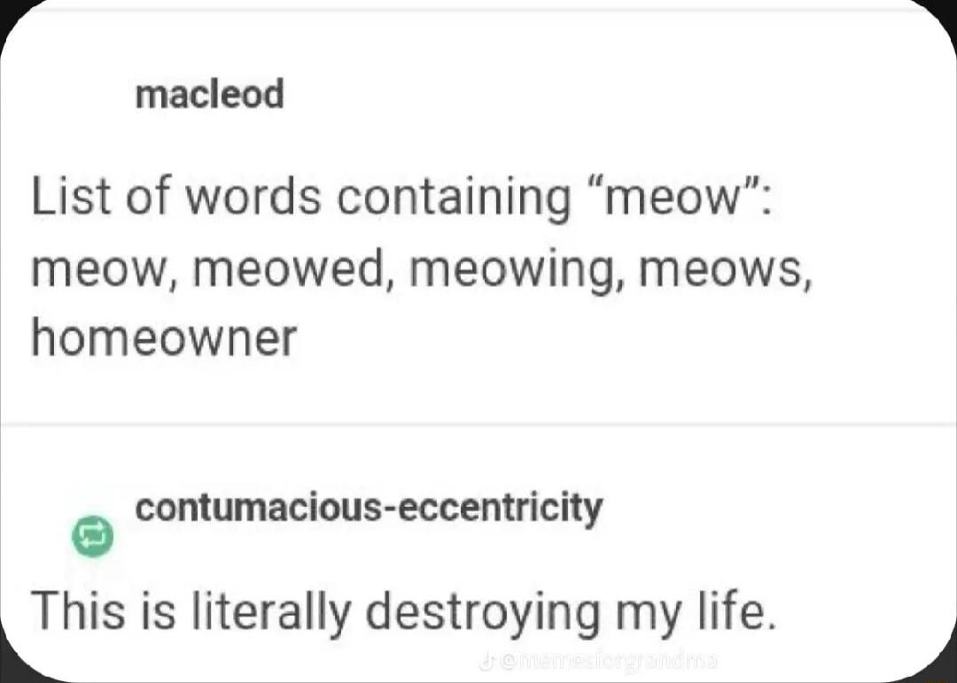 4 R macleod List of words containing meow meow meowed meowing meows homeowner contumacious eccentricity This is literally destroying my life 4