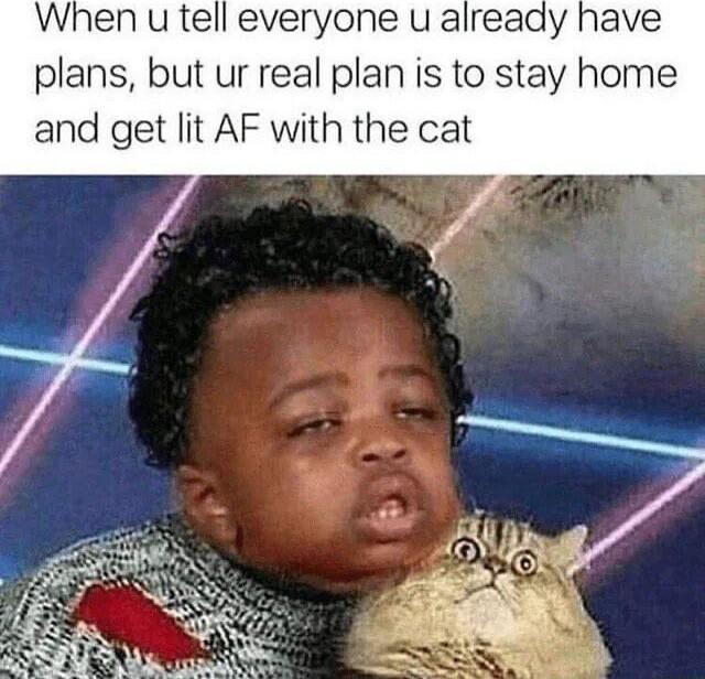 When u tell everyone u already have plans but ur real plan is to stay home and get lit AF with the cat