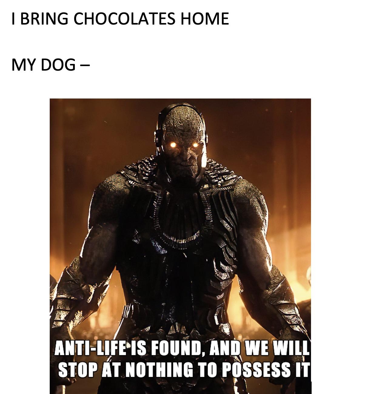 BRING CHOCOLATES HOME MY DOG Mllll lIFEIS FIIIIIIII MIII WE Wlll SIIII AT IIIIIIIIIIG T0 IIISSESS I