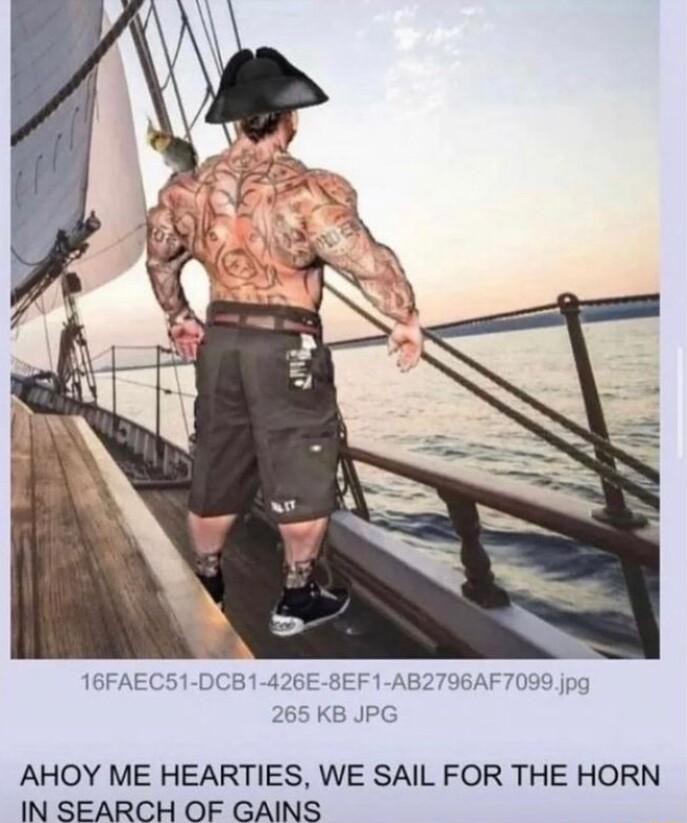 AHOY ME HEARTIES WE SAIL FOR THE HORN IN SEARCH OF GAINS