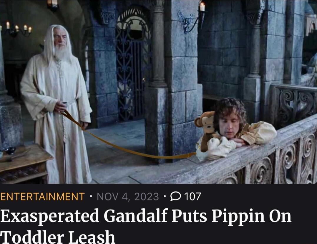 S INTVISN NGV TPk RN o R Exasperated Gandalf Puts Pippin On Toddler Leash