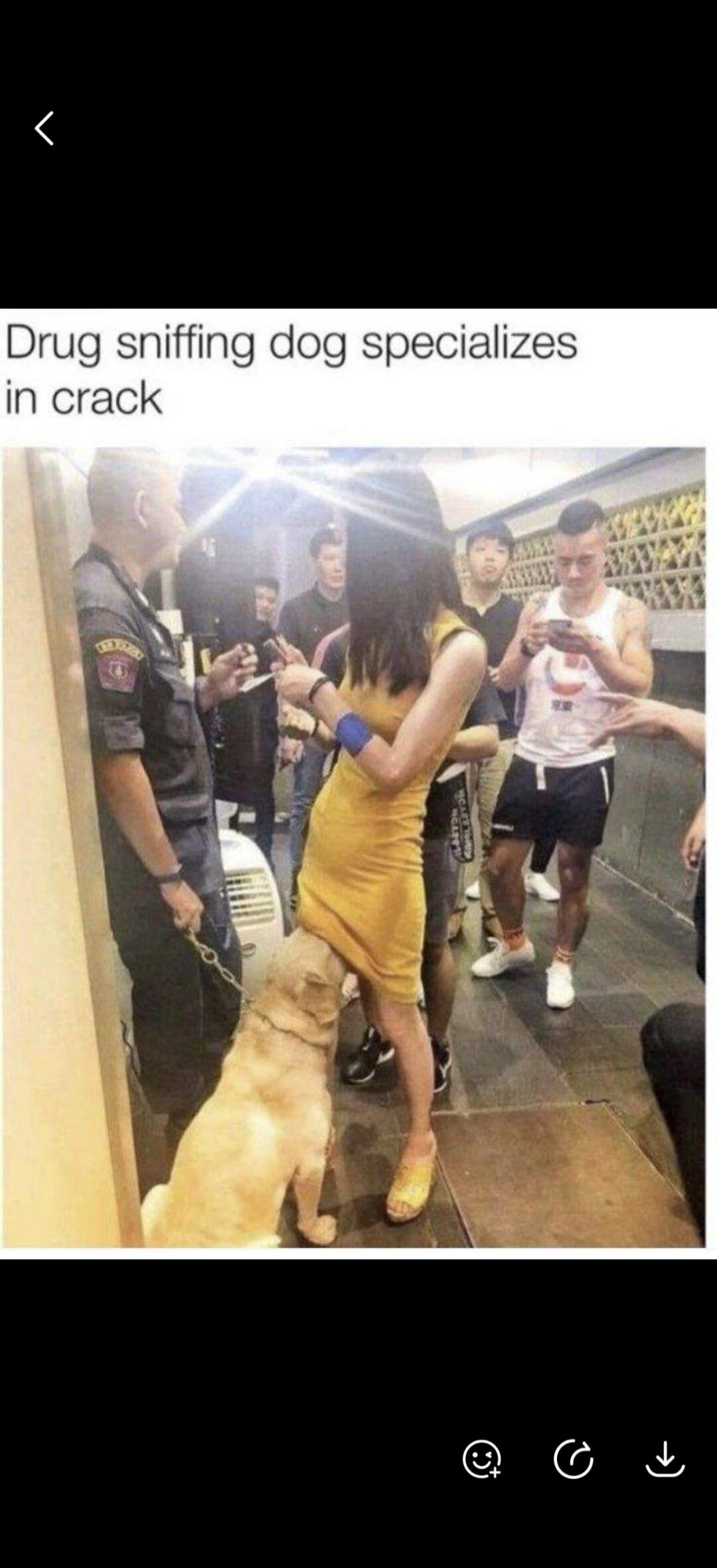 Drug sniffing dog specializes in crack