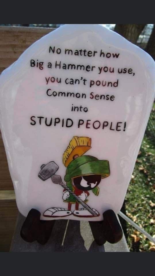 No matter how Big a Hammer YOUu use YOUu cant pound Common Sense into