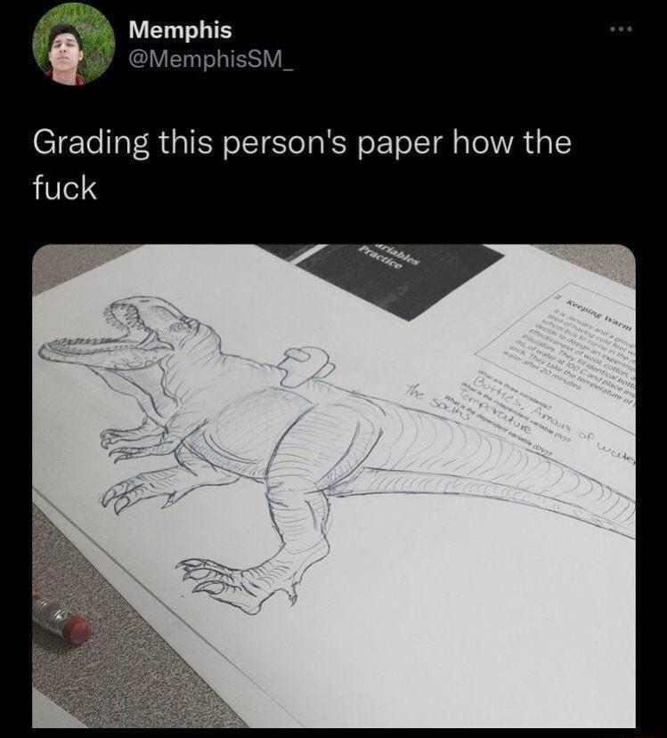 Memphis Grading this persons paper how the fuck e