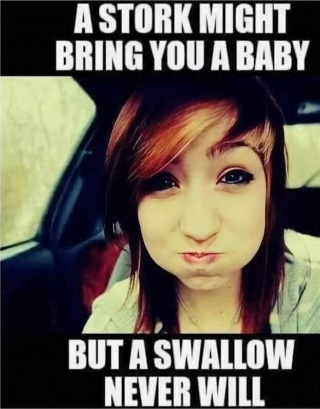A STORK MIGHT BRING YOU A BABY BUT A SWALLOW NEVER WILL