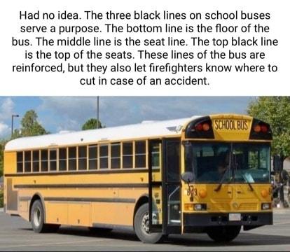 Had no idea The three black lines on school buses serve a purpose The bottom line is the floor of the bus The middle line is the seat line The top black line is the top of the seats These lines of the bus are reinforced but they also let firefighters know where to cut in case of an accident