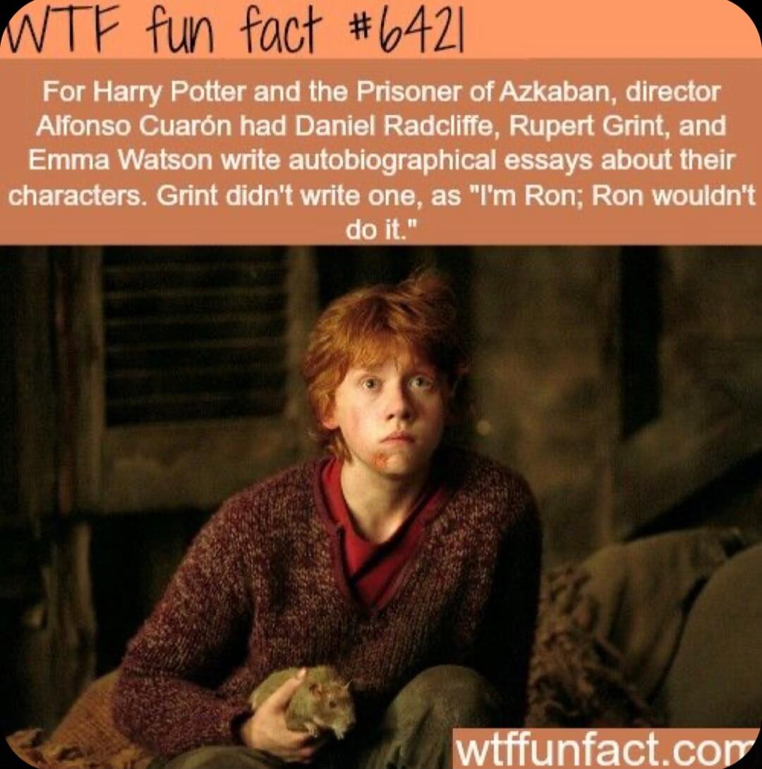TF fun fact 6421