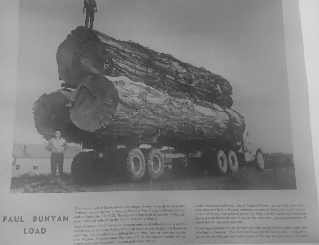 PAUL BUNYAN LOAD